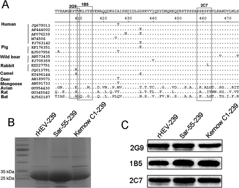 FIG 8