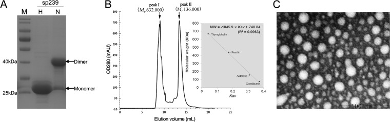 FIG 5