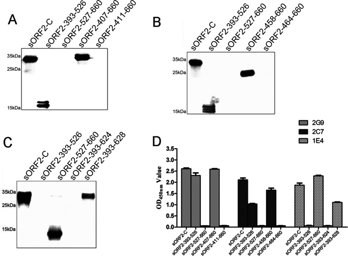 FIG 2