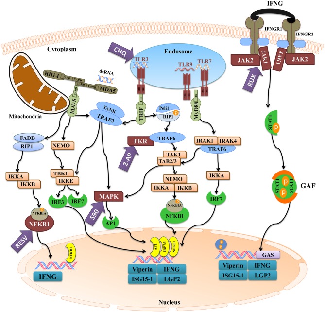 Figure 10