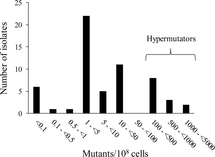 FIG 1