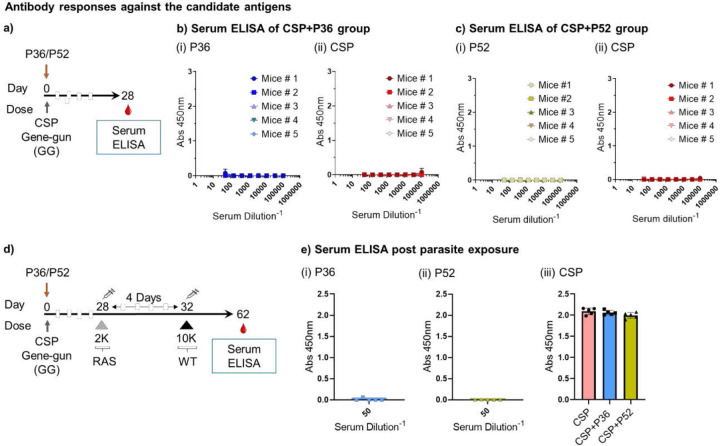 Figure 5: