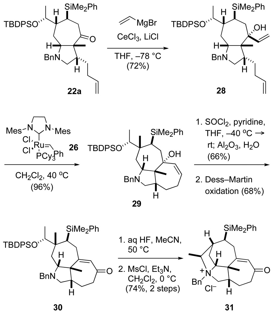 Scheme 5