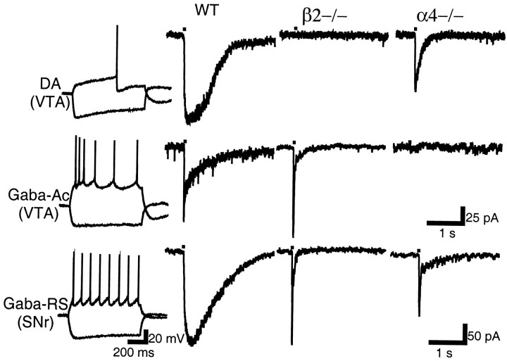 Fig. 10.