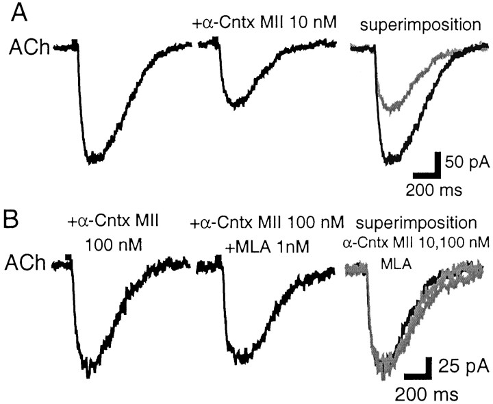 Fig. 9.