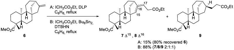 Scheme 2