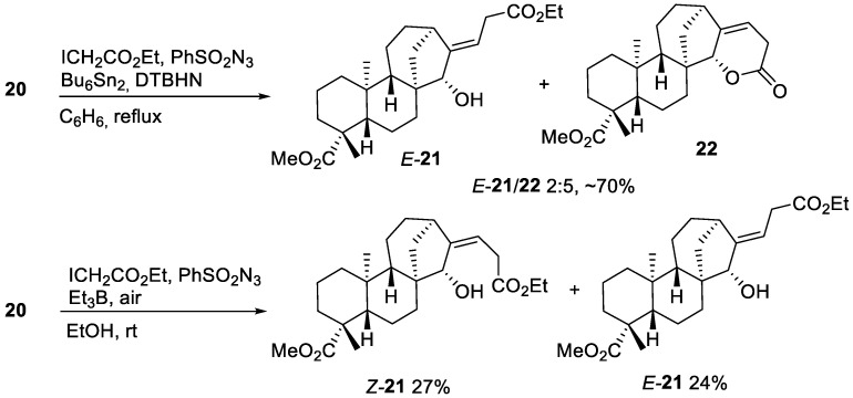 Scheme 8