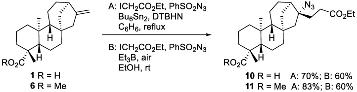 Scheme 3