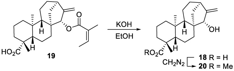 Scheme 6