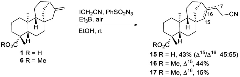 Scheme 5