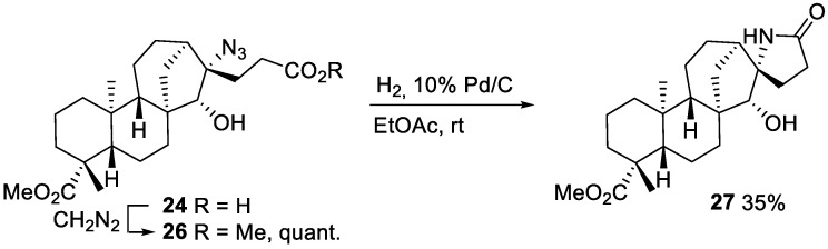 Scheme 10