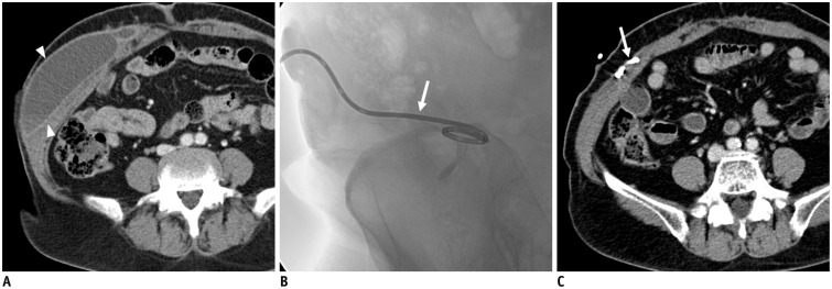 Fig. 8