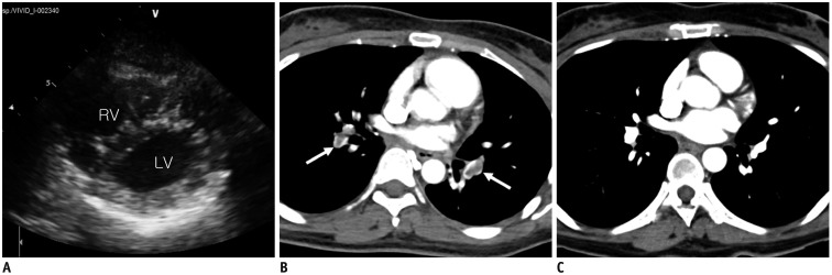 Fig. 10