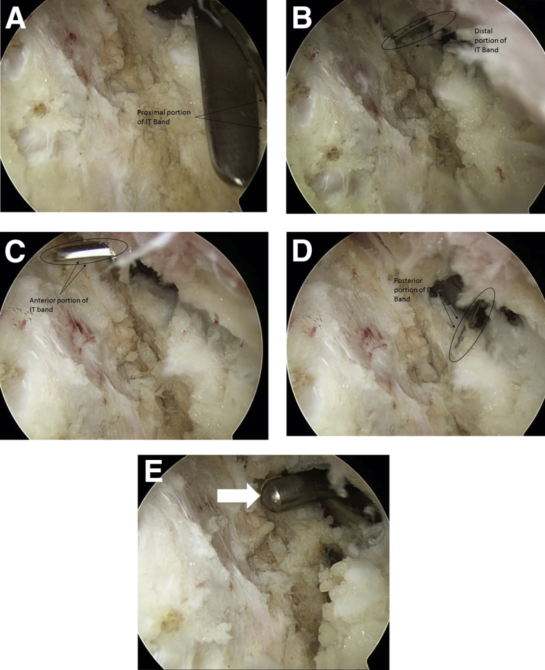 Fig 5