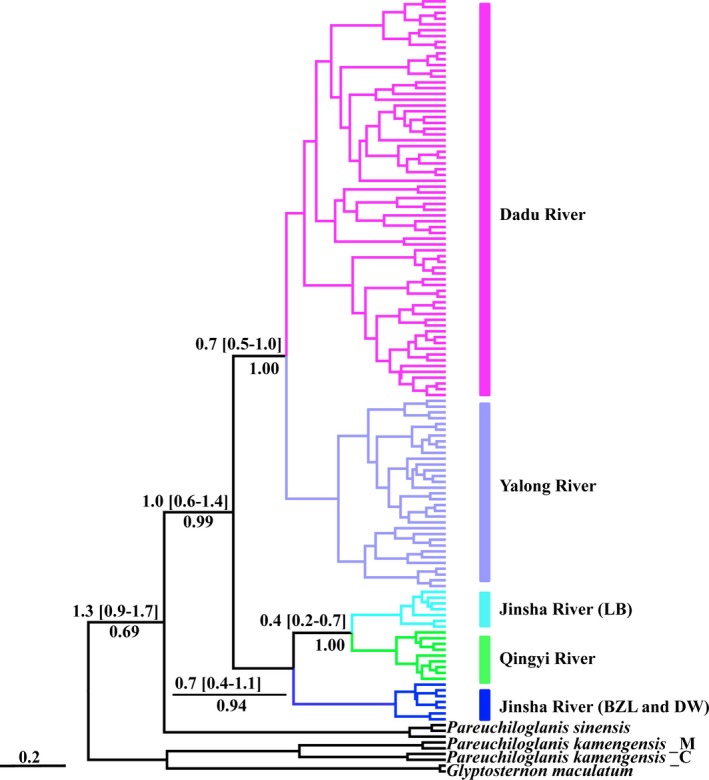 Figure 7