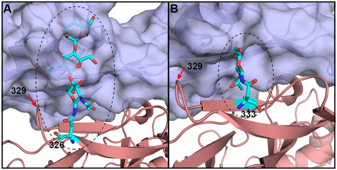 FIG 7