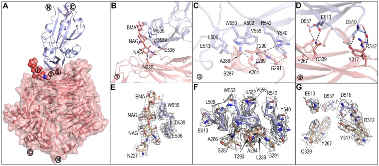 FIG 4