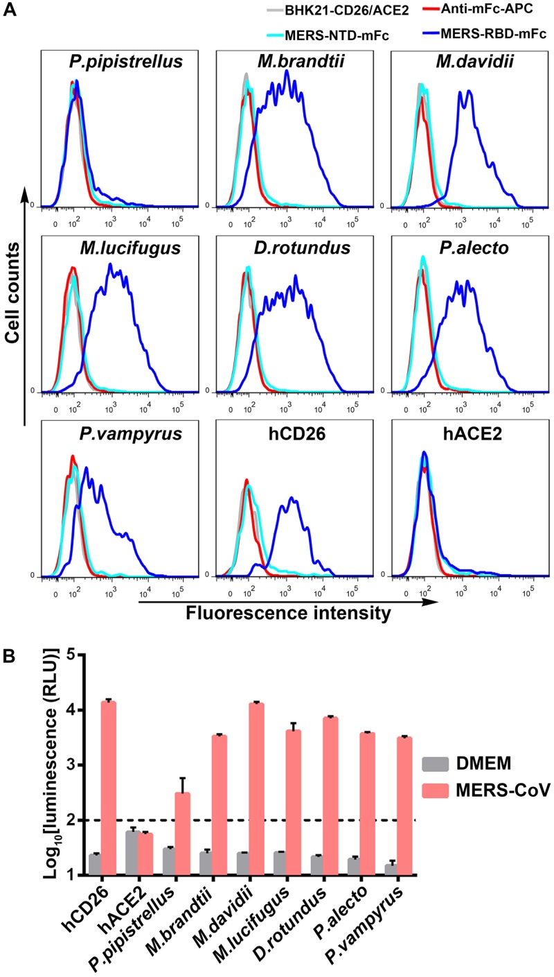 FIG 3