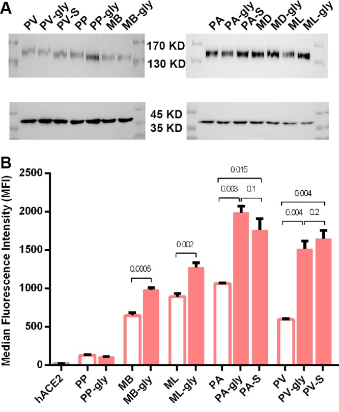 FIG 6