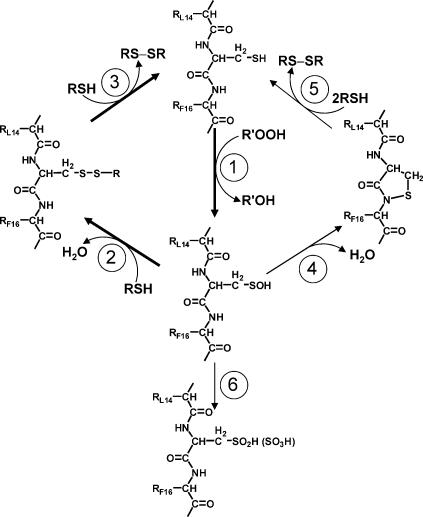 Fig. 5.