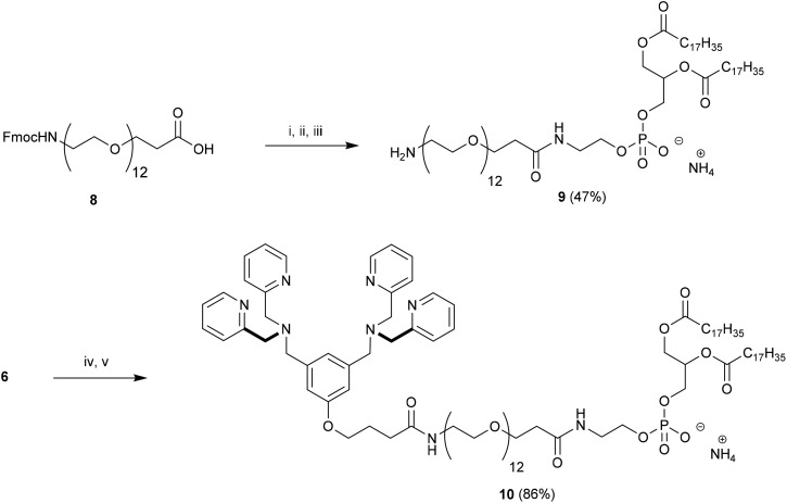 Scheme 3