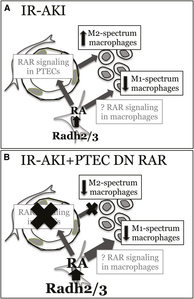 Figure 10.