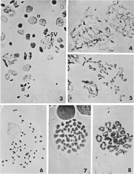 Fig. 3-8