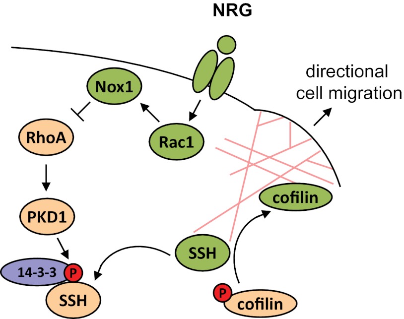 FIGURE 9.