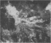 237
