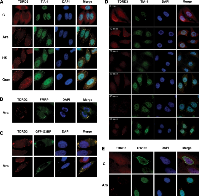 Figure 3.