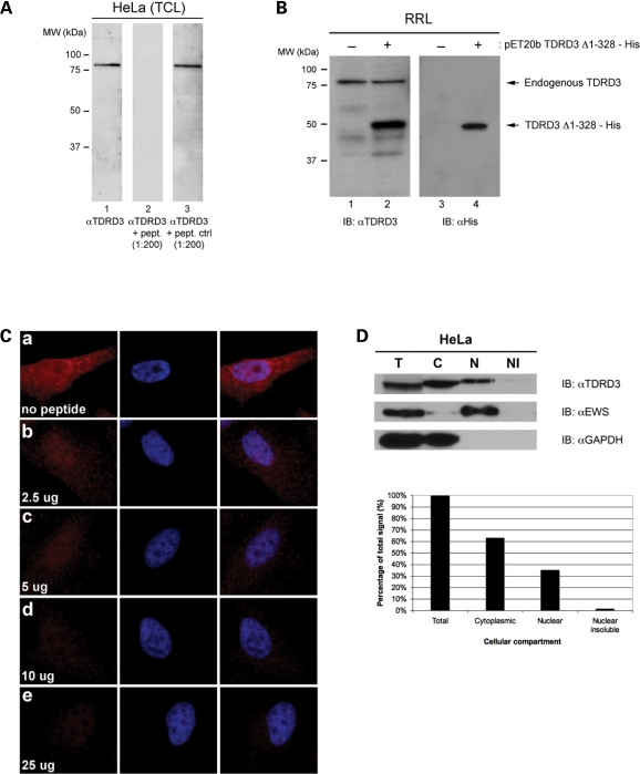 Figure 2.