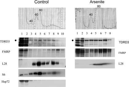 Figure 4.