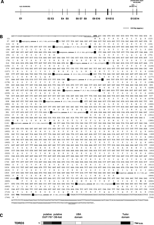 Figure 1.