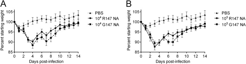 FIG 6