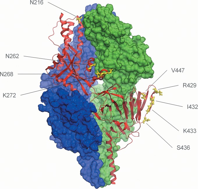 FIG 2