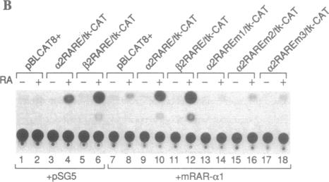 graphic file with name pnas01072-0241-a.jpg