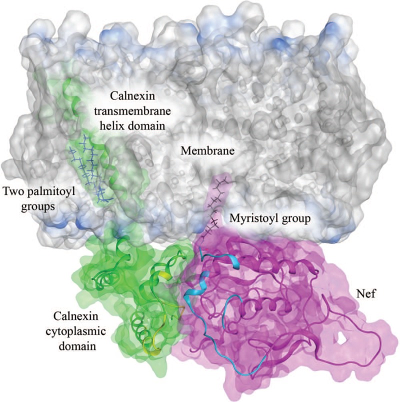 Fig. 2