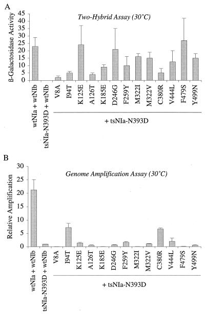 FIG. 6