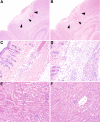 FIG. 6