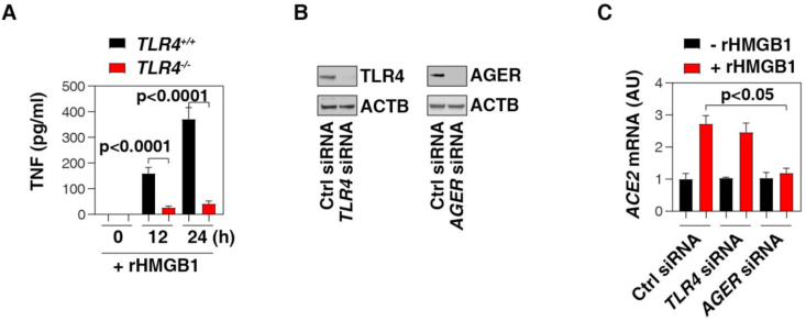 Figure 3