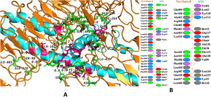 Fig. 11