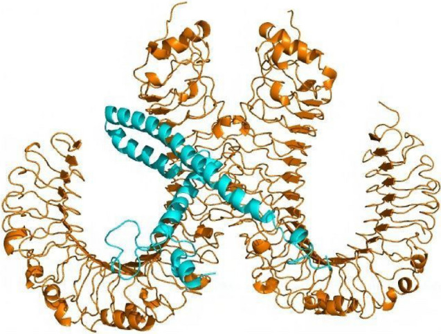 Fig. 10