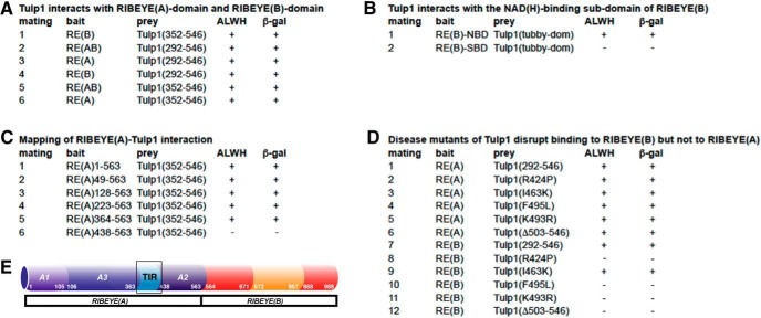 Figure 13.