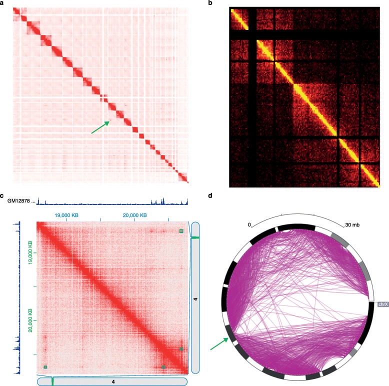 Fig. 1