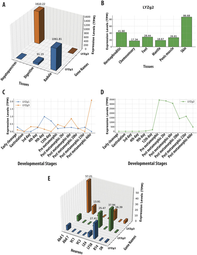 FIGURE 3