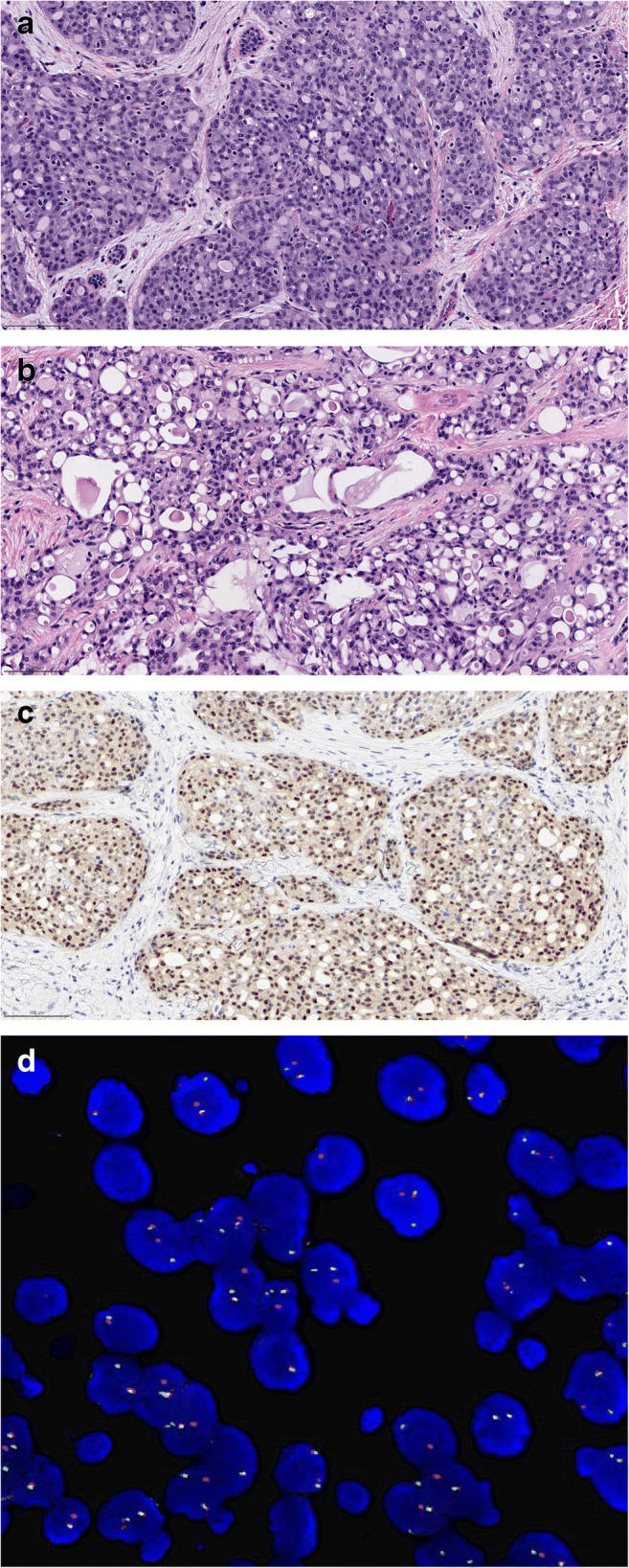 Fig. 11