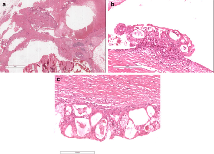 Fig. 8