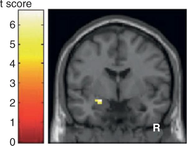 Figure 1.2