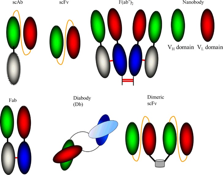 Figure 2.