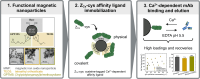 Image, graphical abstract